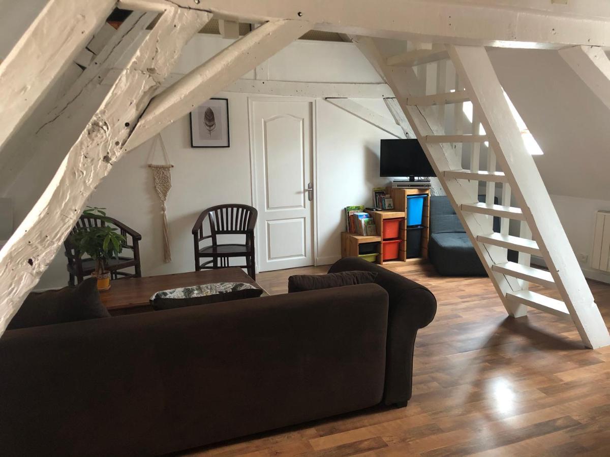Le Grand Appartement - 90M2- 2 Chb , 1 Mezzanine - 6Pers Romorantin-Lanthenay 외부 사진